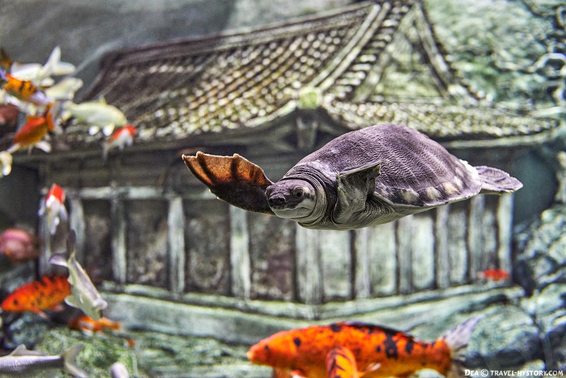 Севастопольский аквариум